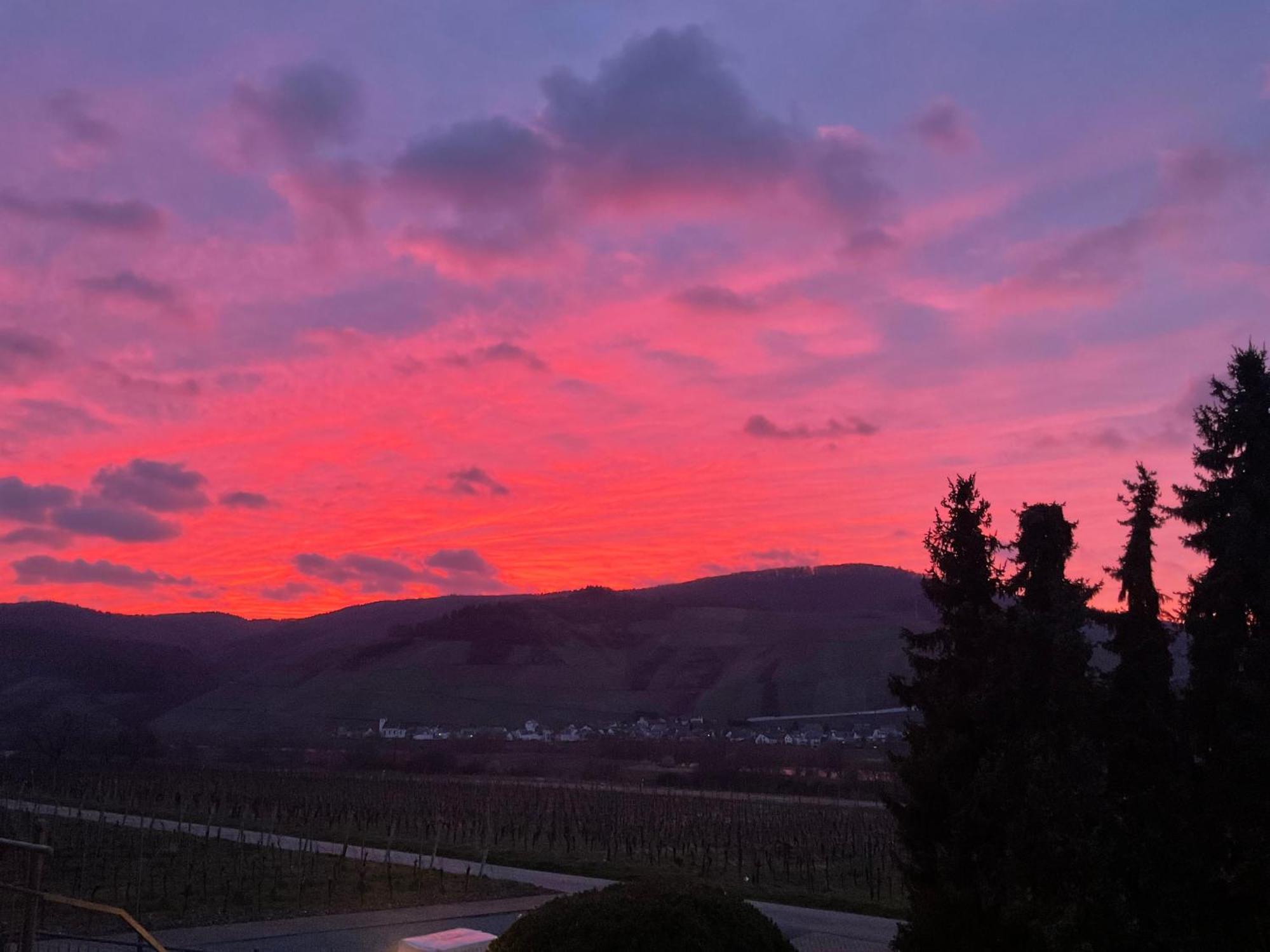 Weingut Bastian 호텔 브라운버그 외부 사진